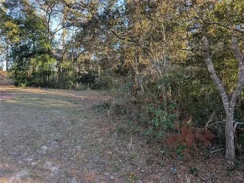 8949 N Lansen Way Citrus Springs FL 34433