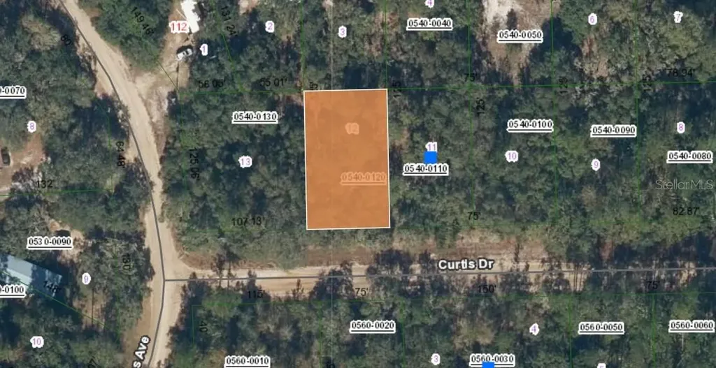 00 Curtis Drive Interlachen FL 32148