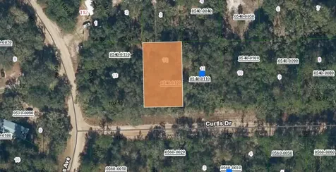 00 Curtis Drive Interlachen FL 32148