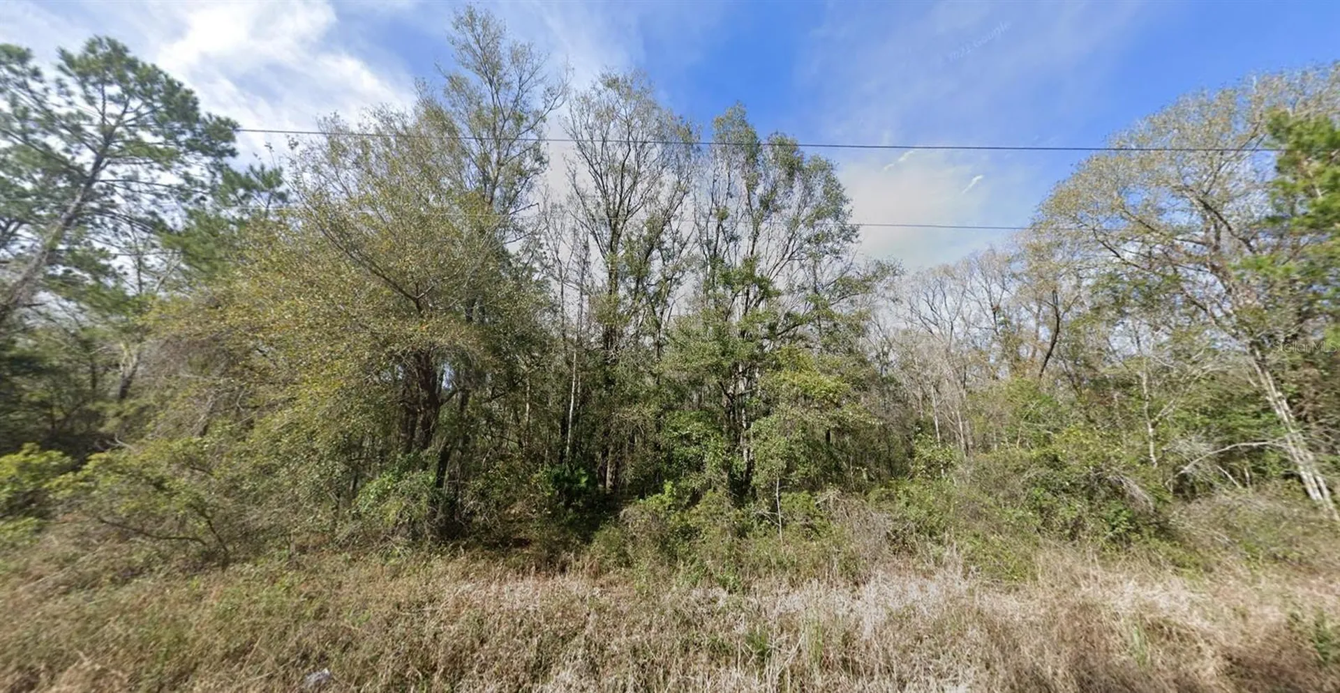 4590 Jonathan Street Hastings FL 32145