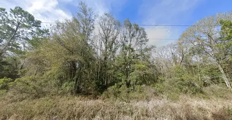 4590 Jonathan Street Hastings FL 32145