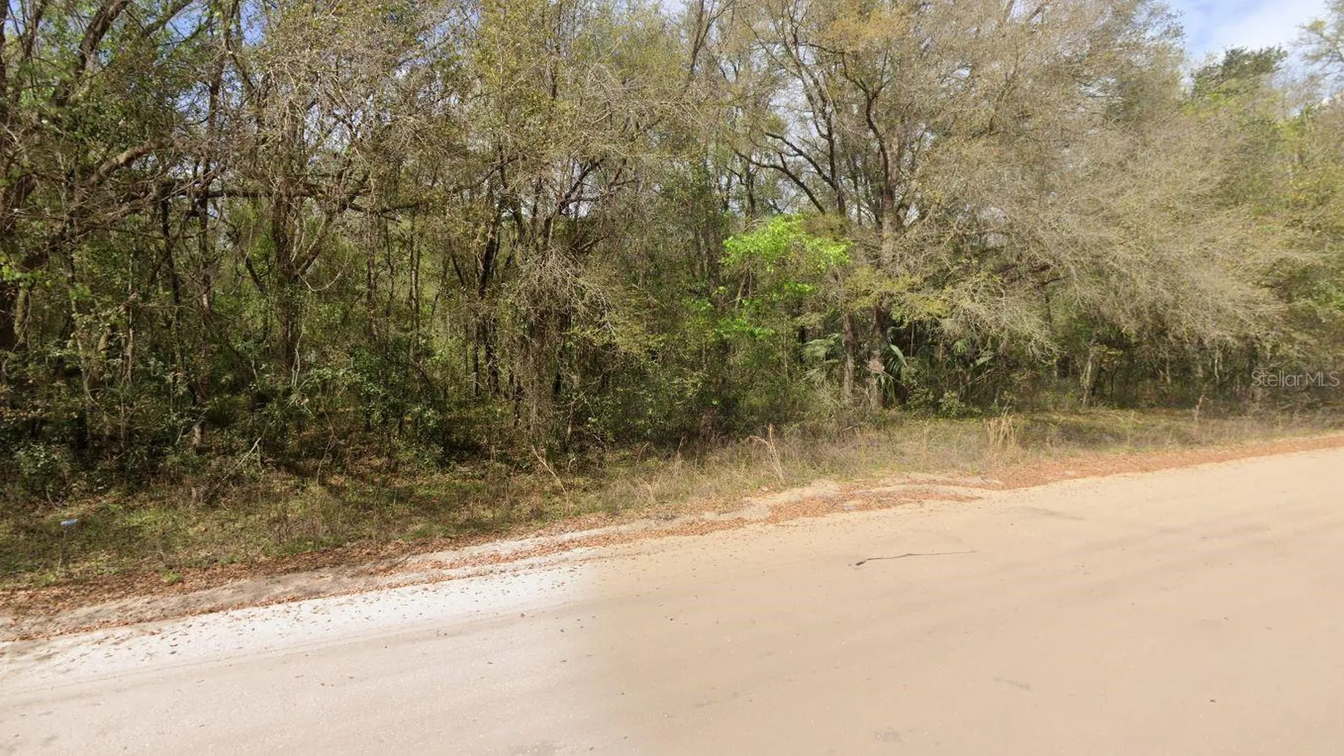 Annette Avenue Interlachen FL 32148