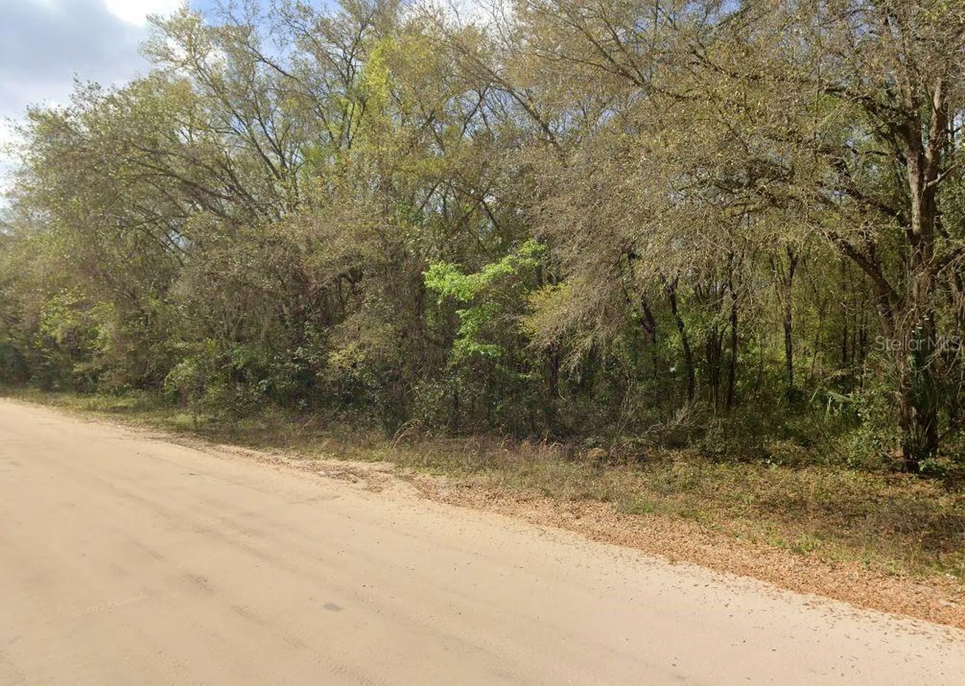 Annette Avenue Interlachen FL 32148