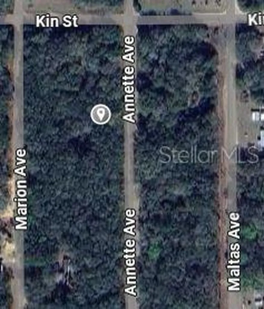 Annette Avenue Interlachen FL 32148