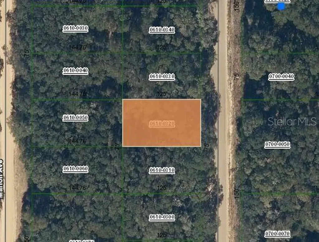 Annette Avenue Interlachen FL 32148