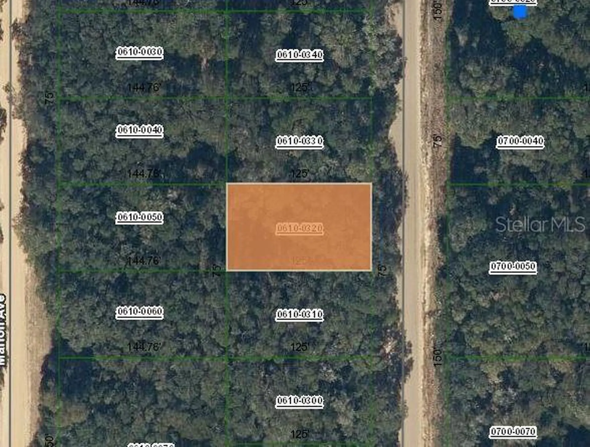 Annette Avenue Interlachen FL 32148