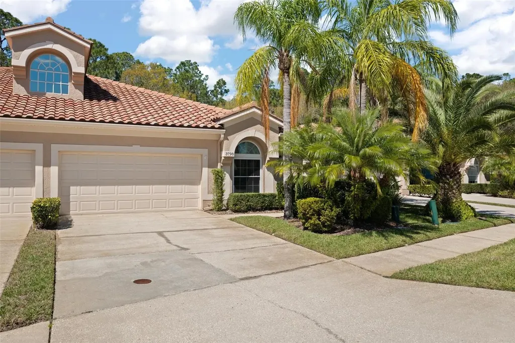 3798 Darston Street Palm Harbor FL 34685