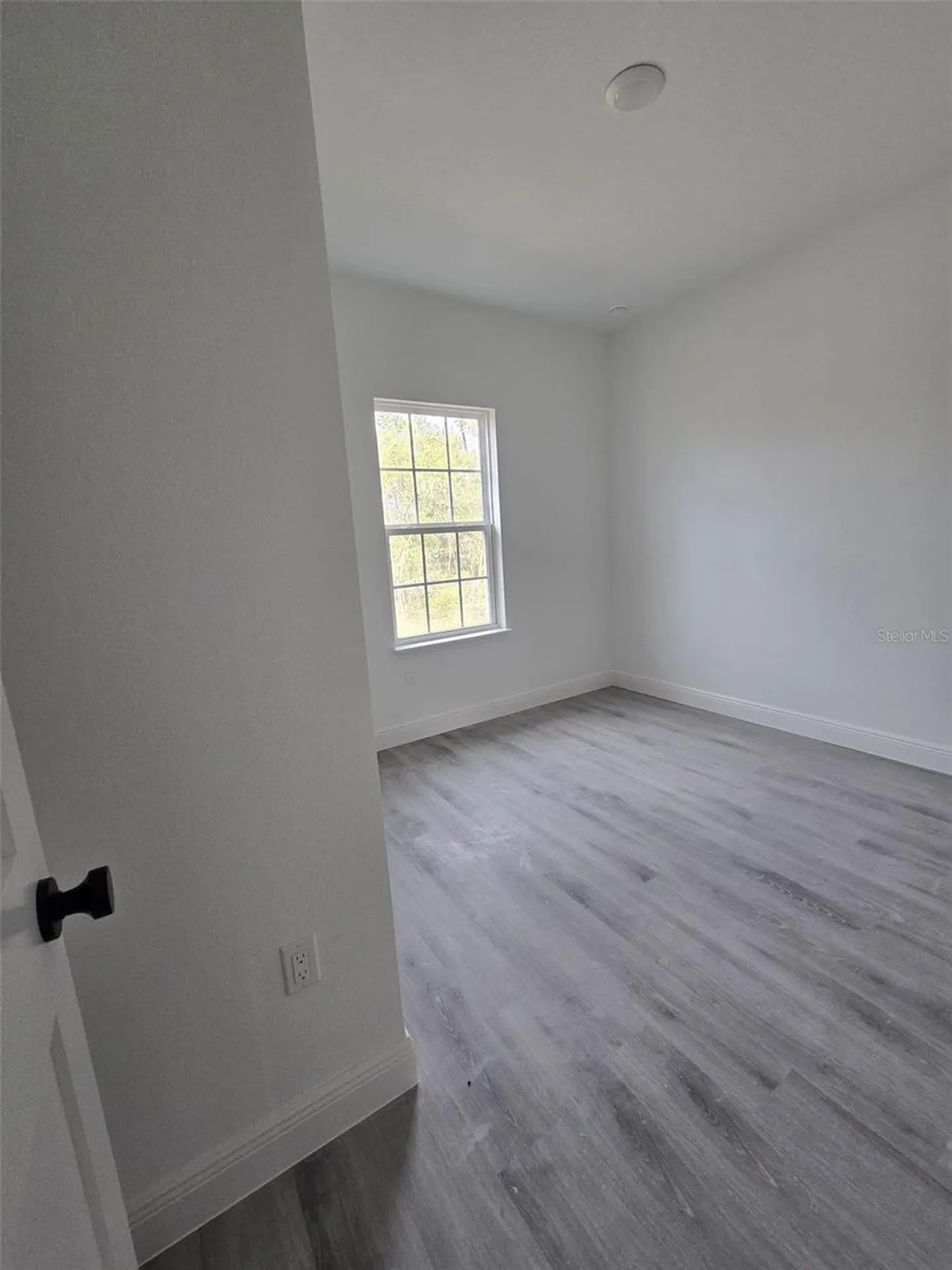 15462 SW 46 Circle Ocala FL 34473