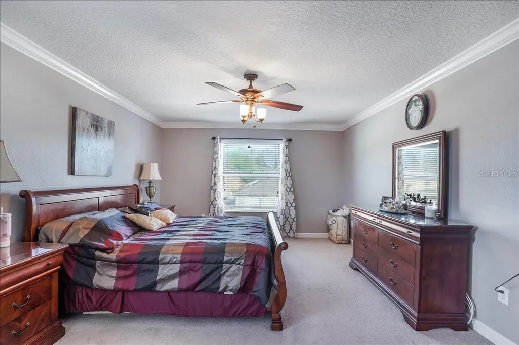 20427 Carolina Cherry Court Tampa FL 33647
