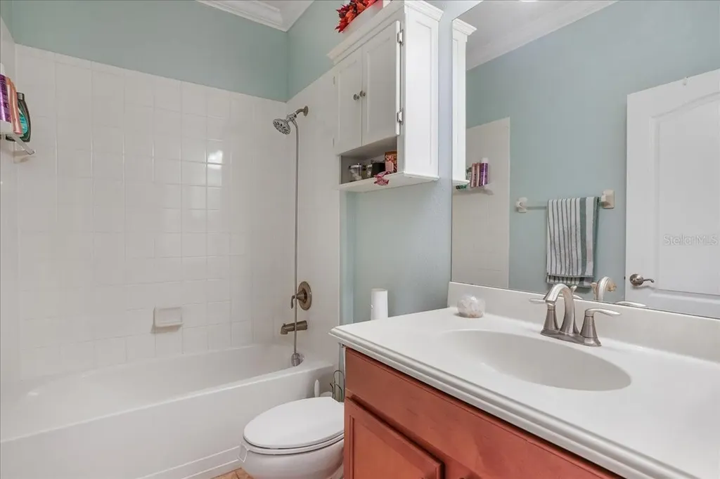 20427 Carolina Cherry Court Tampa FL 33647