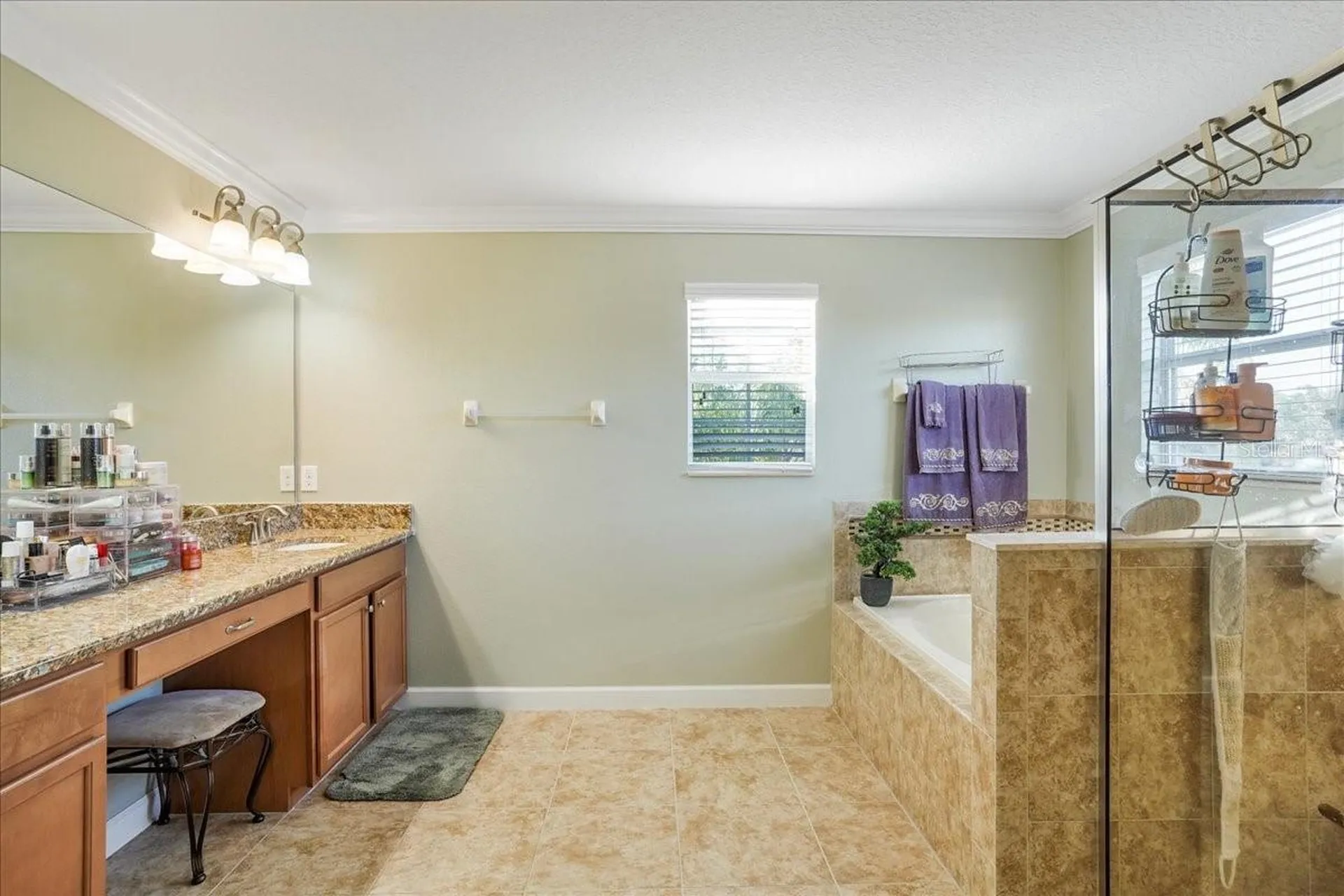 20427 Carolina Cherry Court Tampa FL 33647