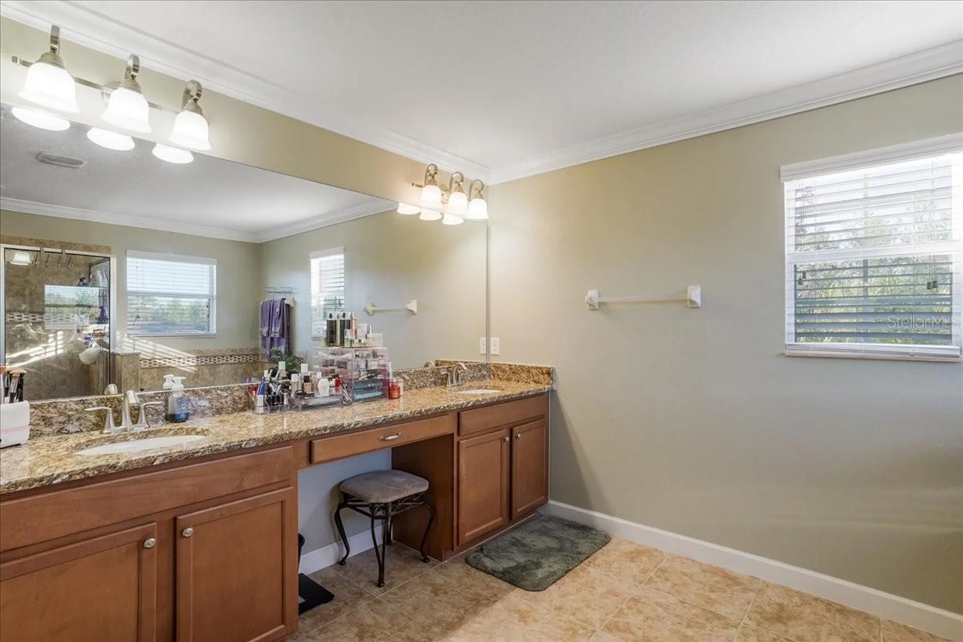 20427 Carolina Cherry Court Tampa FL 33647