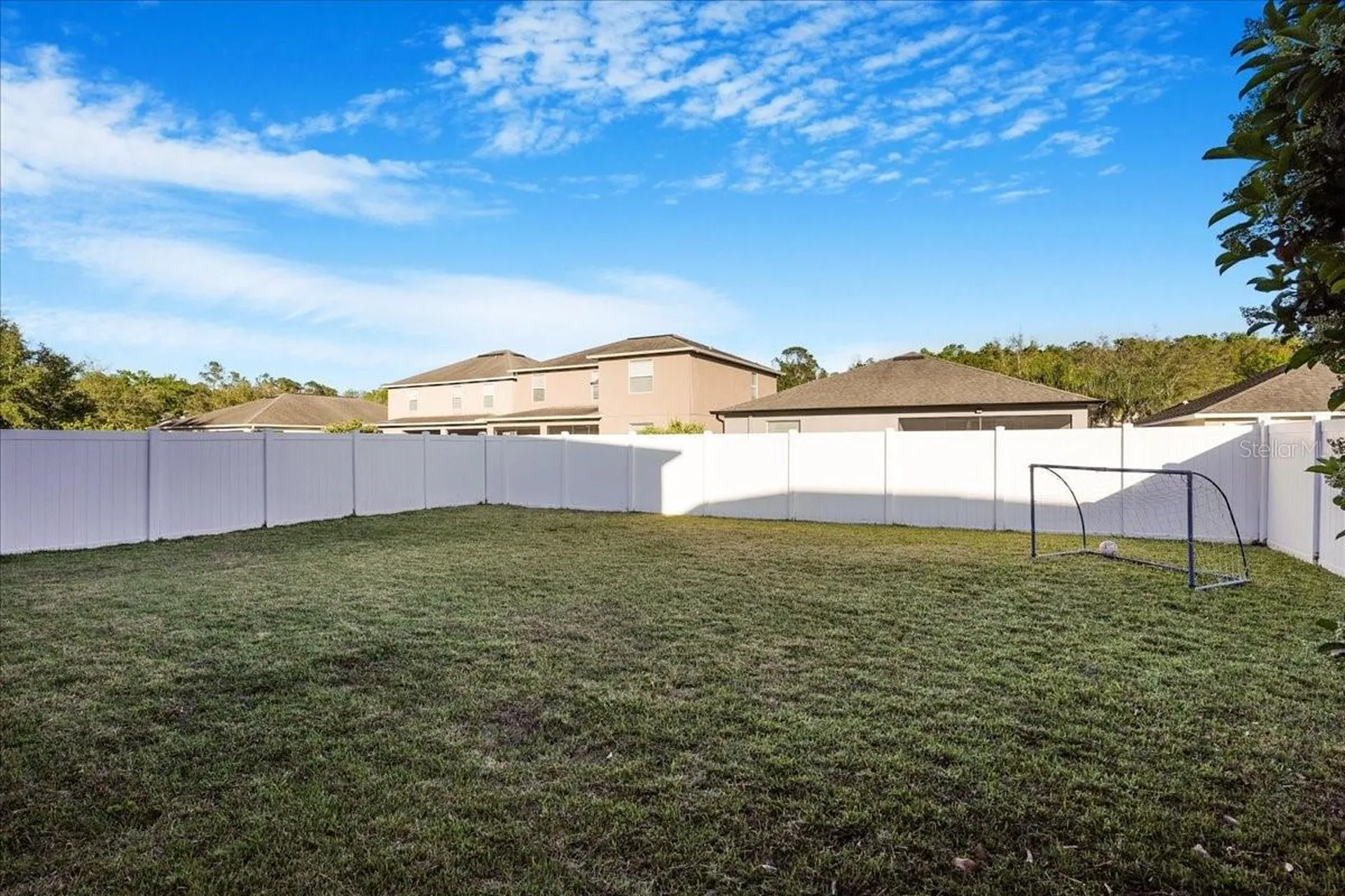 20427 Carolina Cherry Court Tampa FL 33647