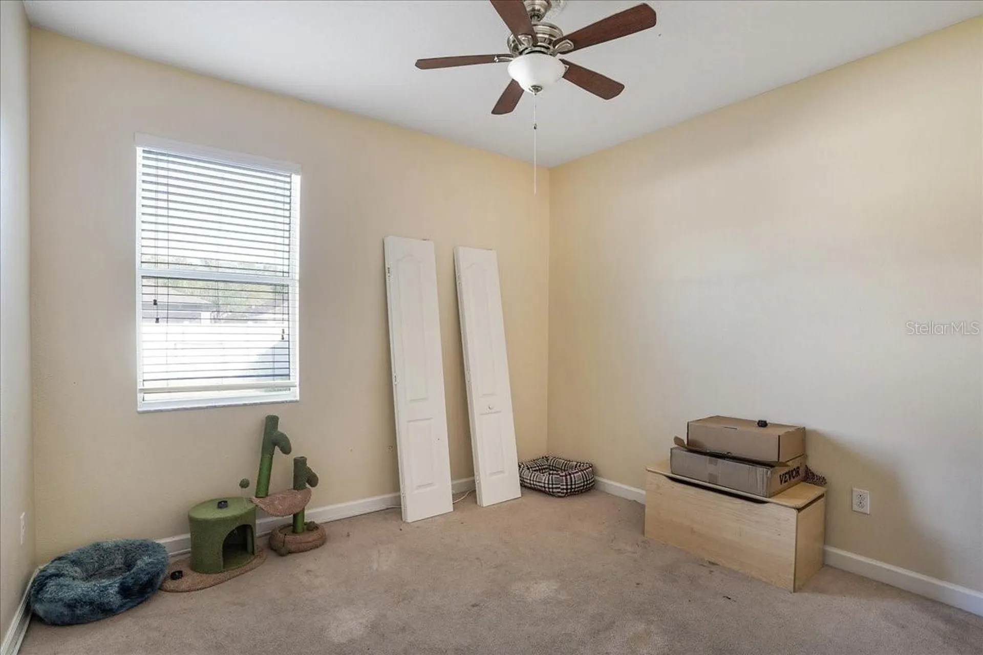 20427 Carolina Cherry Court Tampa FL 33647