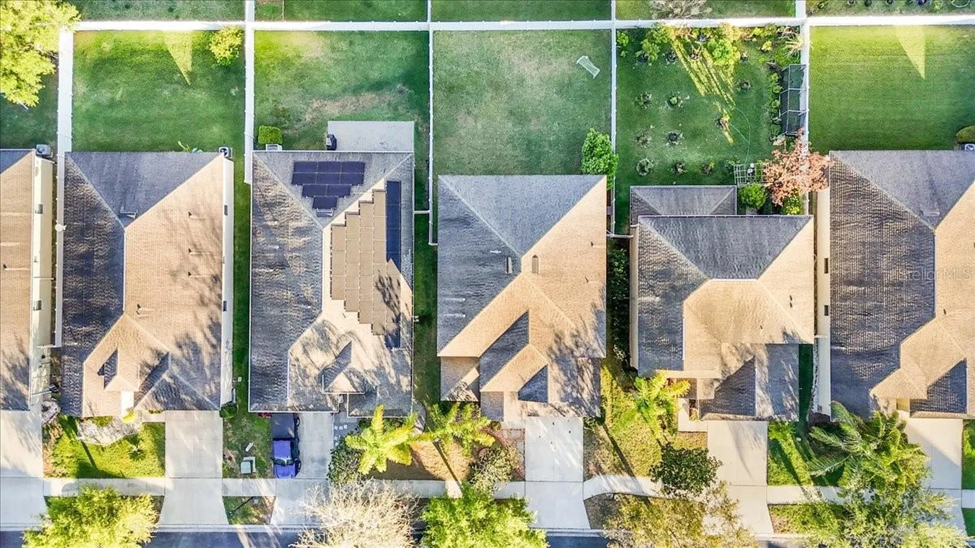 20427 Carolina Cherry Court Tampa FL 33647