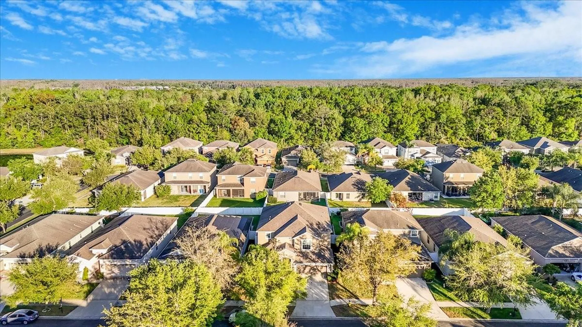 20427 Carolina Cherry Court Tampa FL 33647