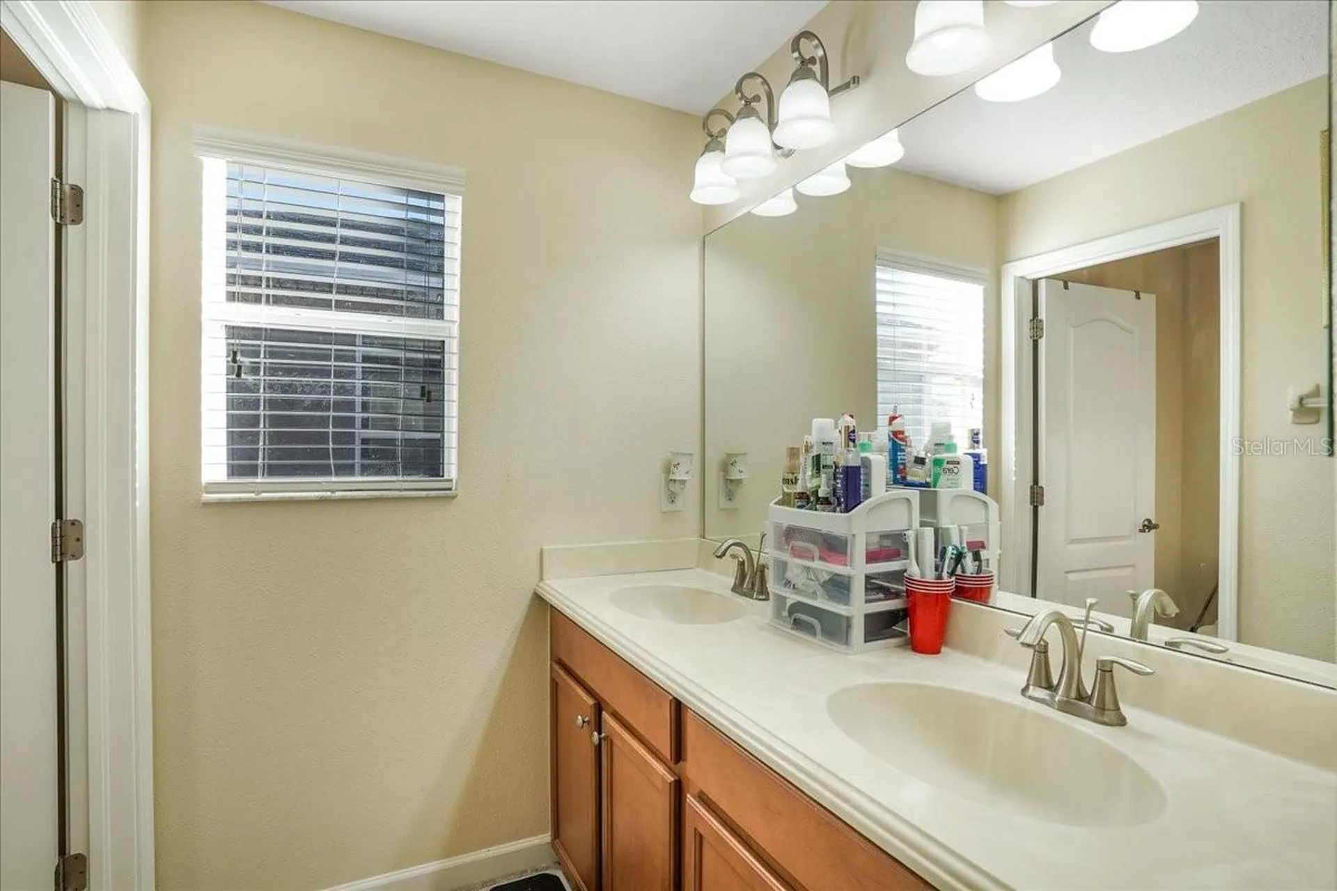 20427 Carolina Cherry Court Tampa FL 33647