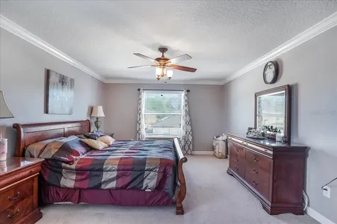20427 Carolina Cherry Court Tampa FL 33647