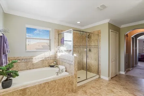 20427 Carolina Cherry Court Tampa FL 33647