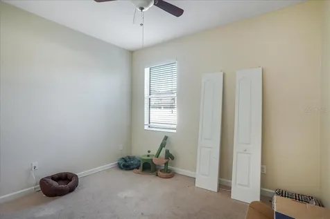 20427 Carolina Cherry Court Tampa FL 33647