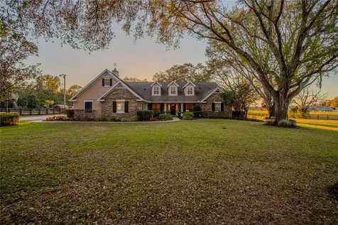 31707 Orange Street Sorrento FL 32776