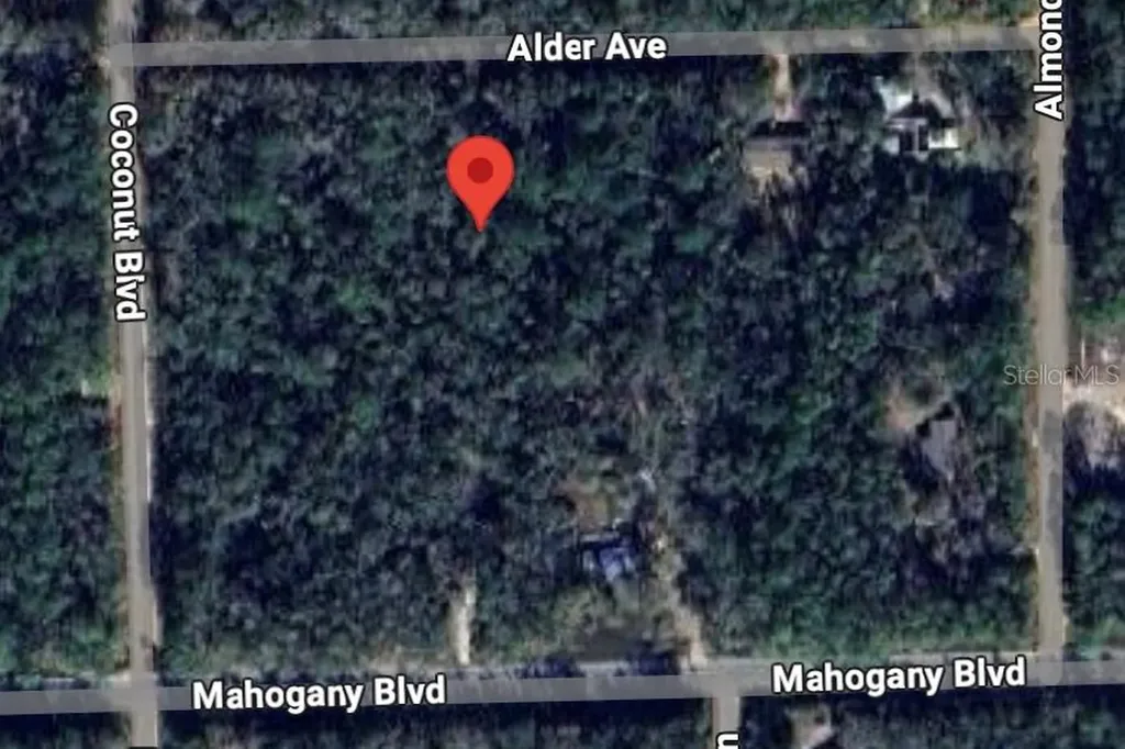 6327 Alder Avenue Bunnell FL 32110