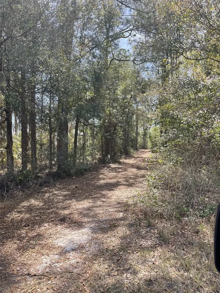 19100 County Road 33 Groveland FL 34736