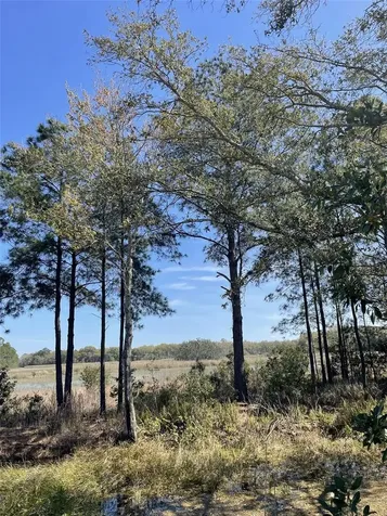 19100 County Road 33 Groveland FL 34736