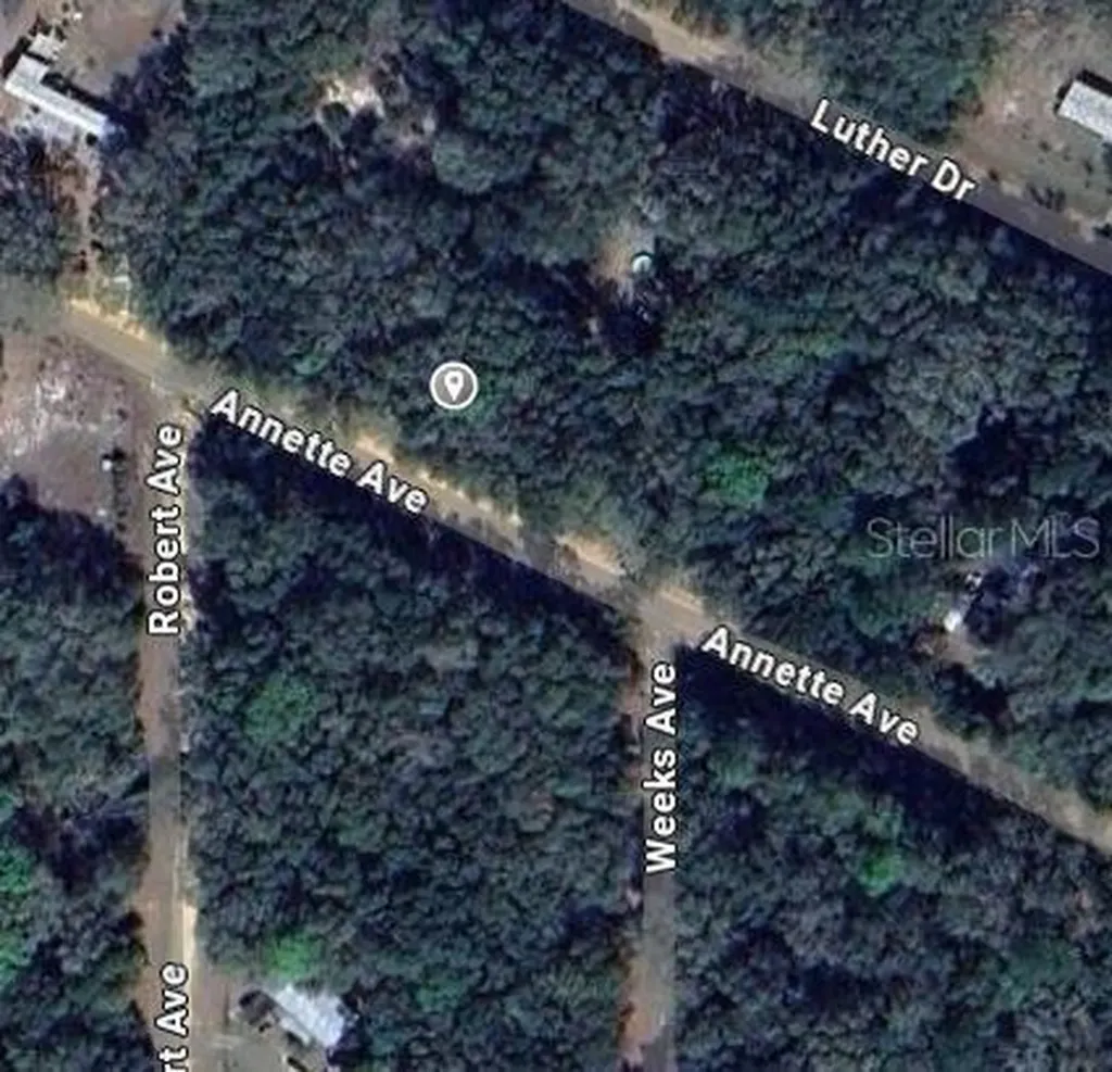 Annette Avenue Interlachen FL 32148