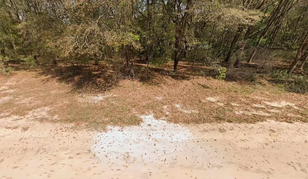 Annette Avenue Interlachen FL 32148