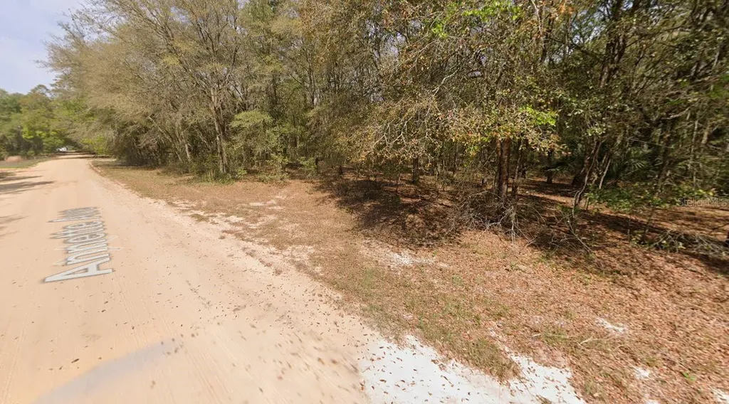 Annette Avenue Interlachen FL 32148