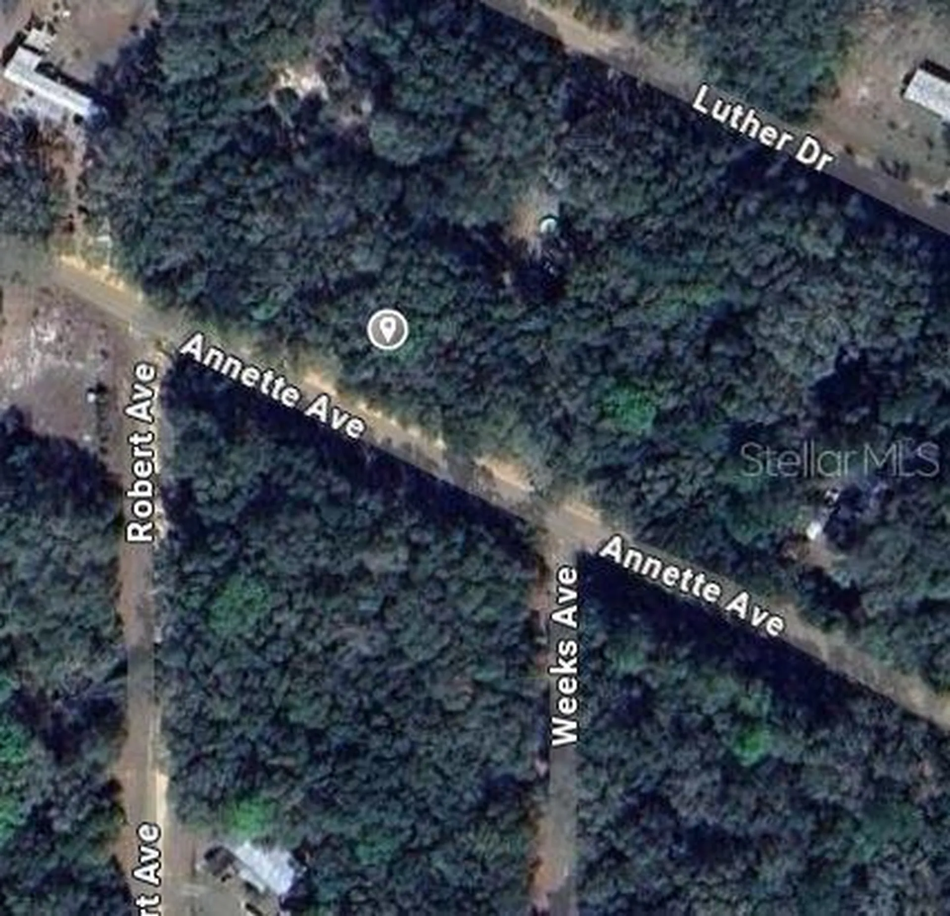 Annette Avenue Interlachen FL 32148
