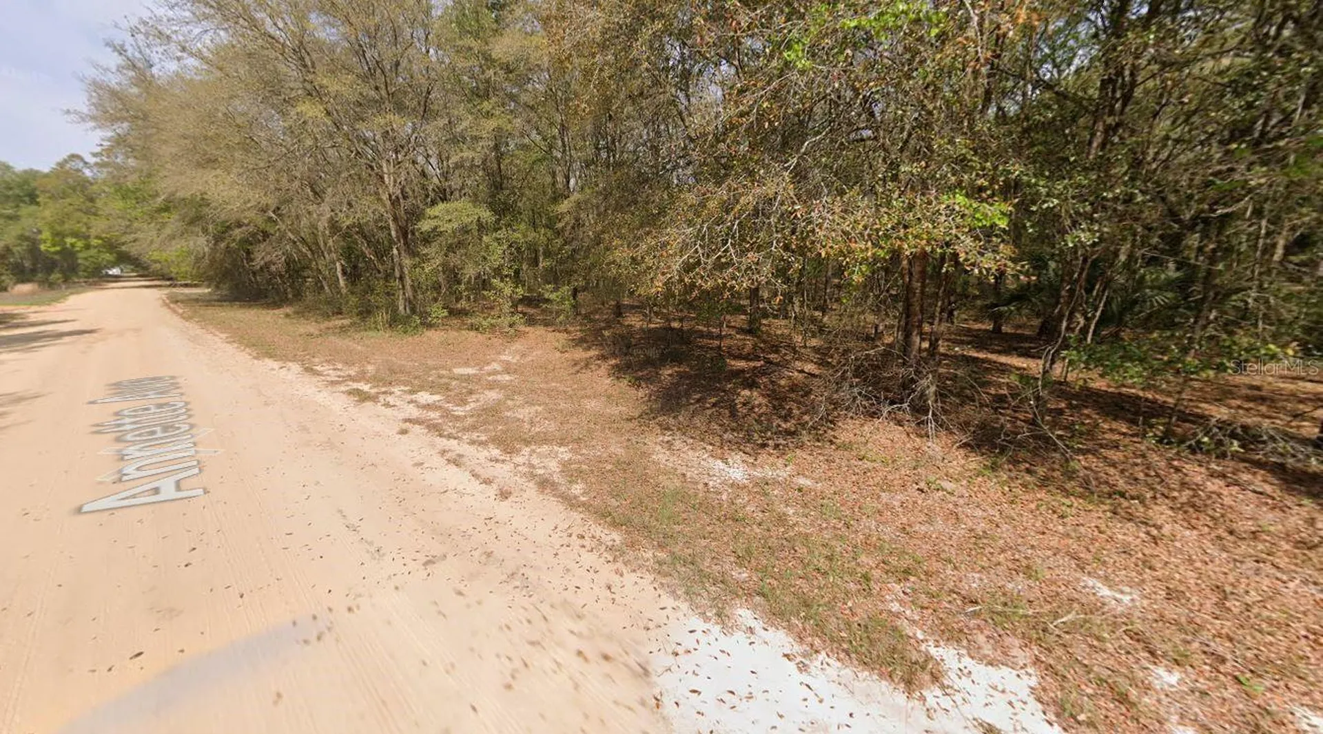 Annette Avenue Interlachen FL 32148