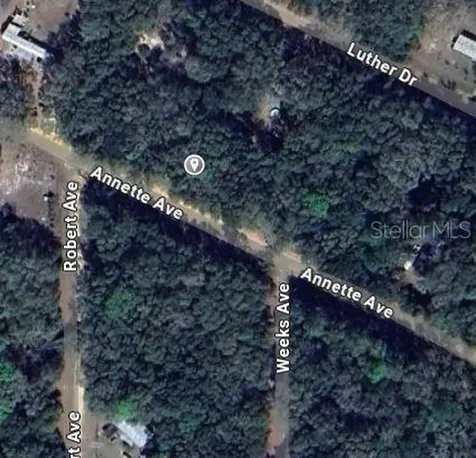 Annette Avenue Interlachen FL 32148