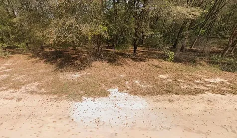 Annette Avenue Interlachen FL 32148