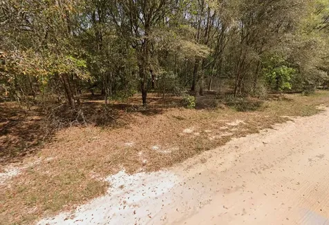 Annette Avenue Interlachen FL 32148