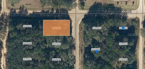 Annette Avenue Interlachen FL 32148