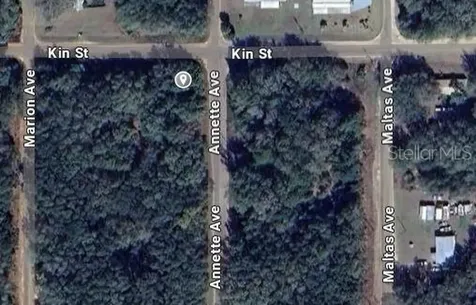 Annette Avenue Interlachen FL 32148