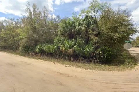 Annette Avenue Interlachen FL 32148