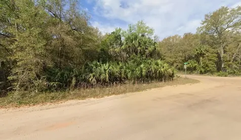 Annette Avenue Interlachen FL 32148