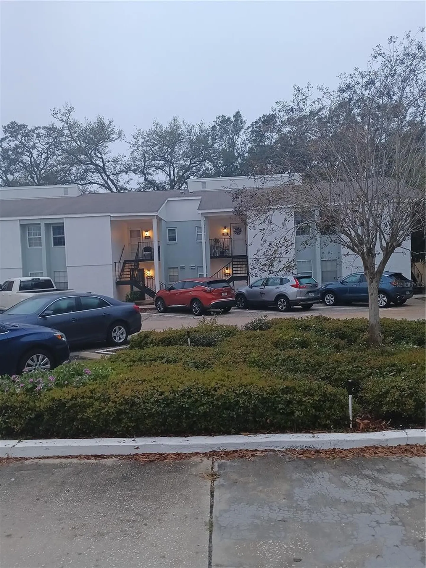 3801 N Oak Drive Tampa FL 33611