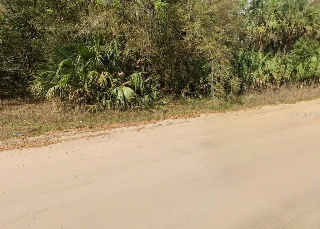 Annette Avenue Interlachen FL 32148