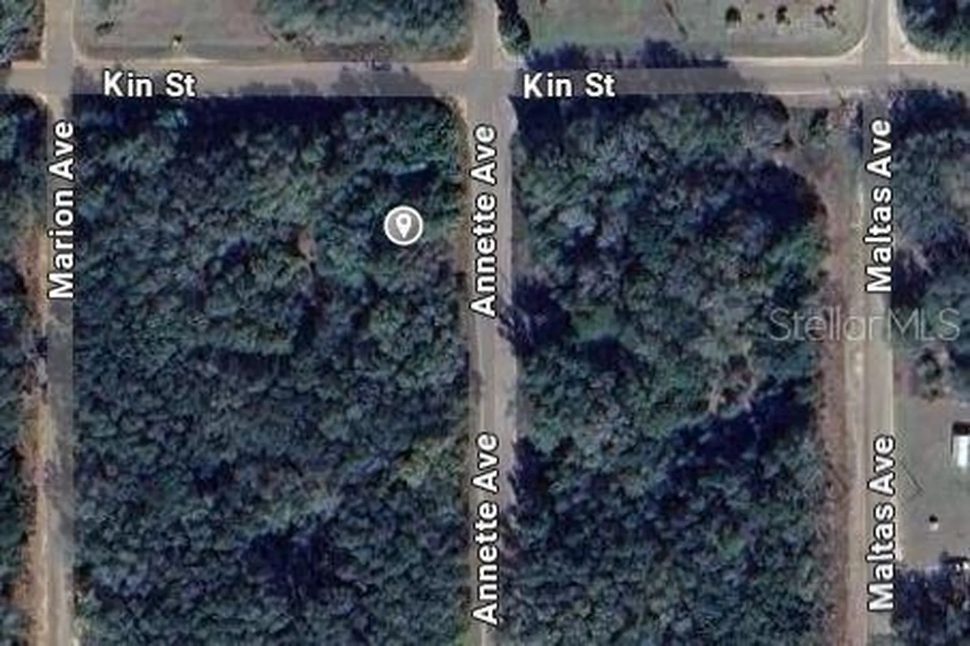 Annette Avenue Interlachen FL 32148