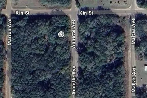 Annette Avenue Interlachen FL 32148