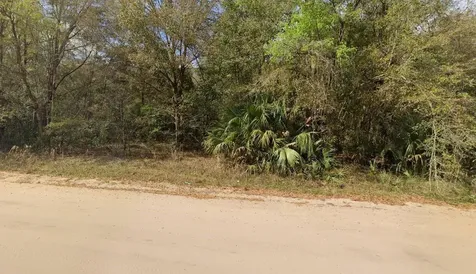 Annette Avenue Interlachen FL 32148