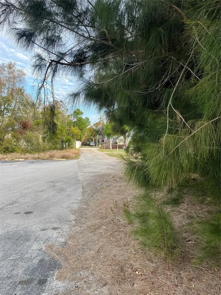 3701 Fournier Avenue Mount Dora FL 32757