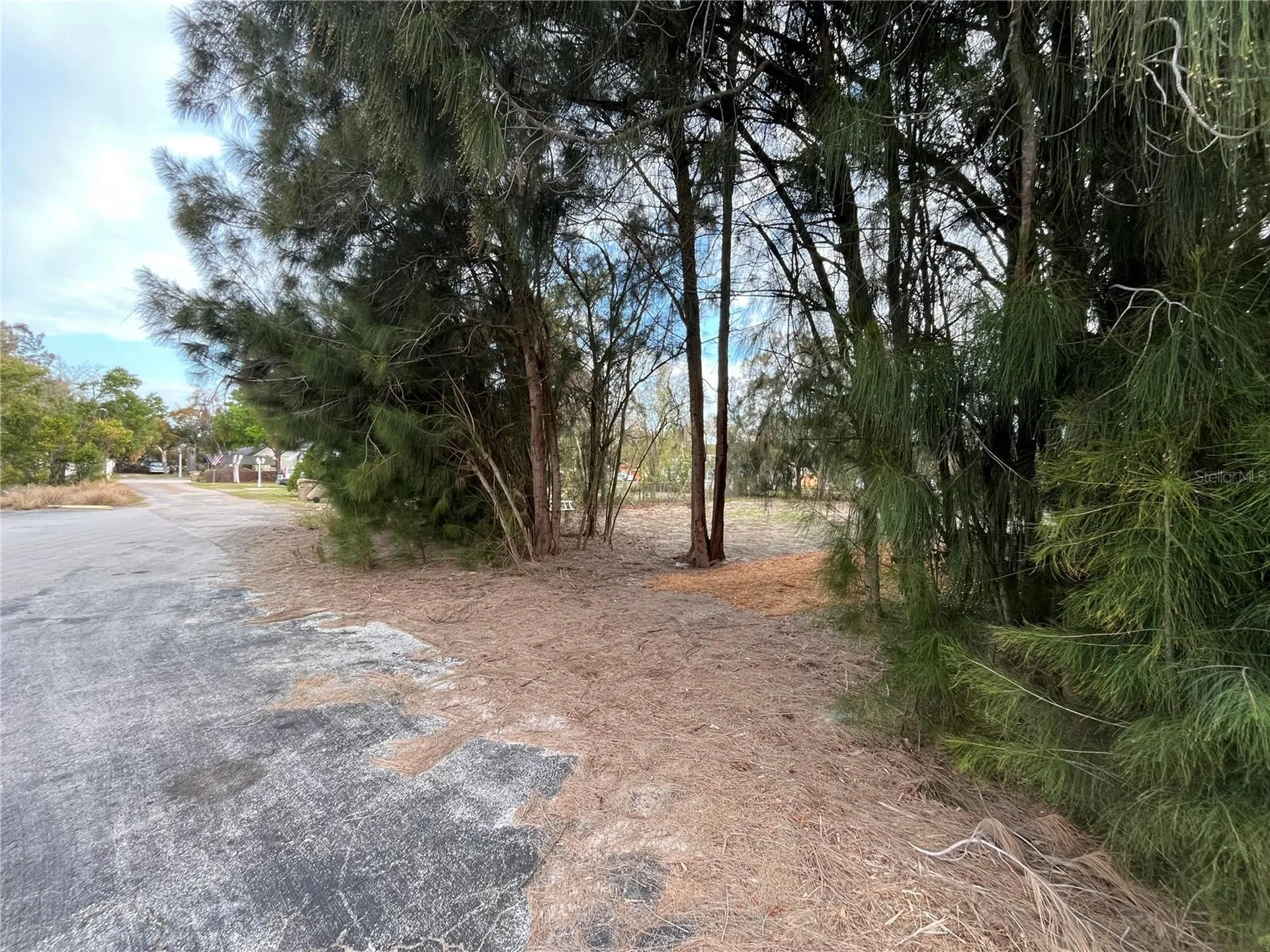3701 Fournier Avenue Mount Dora FL 32757