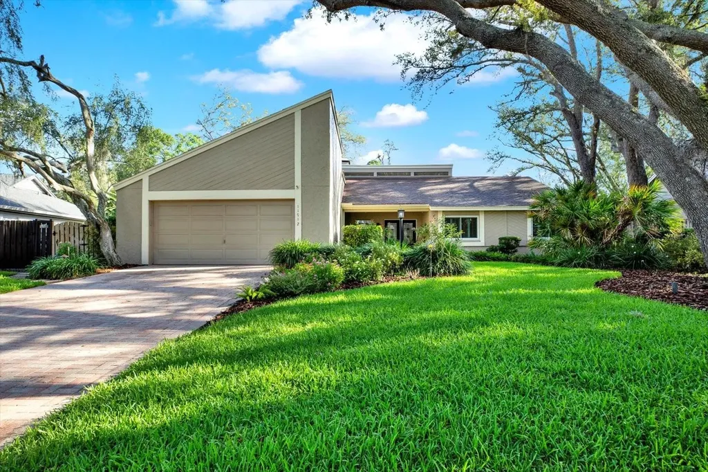 11712 Palmer Drive Tampa FL 33624