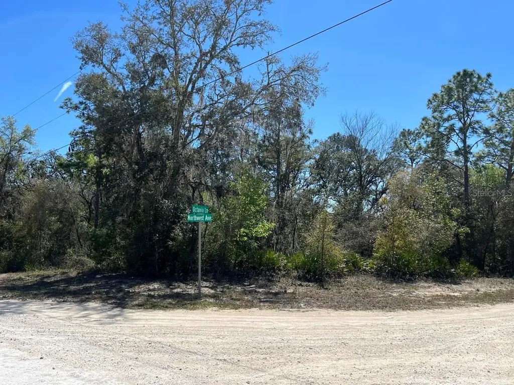 0 Northwest Avenue Webster FL 33597