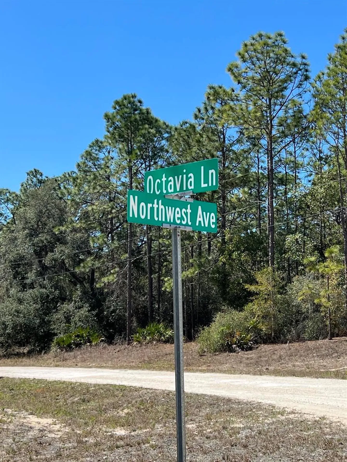 0 Northwest Avenue Webster FL 33597